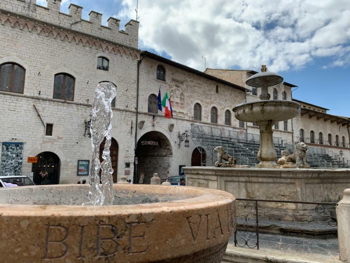 Chiama Ride The Beauty Assisi