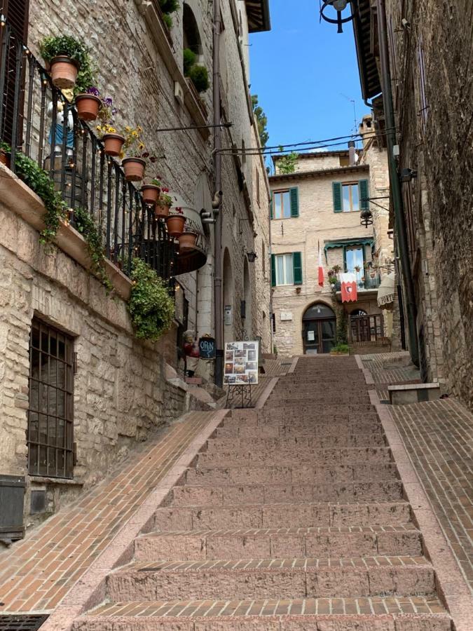 Chiama Ride The Beauty Assisi